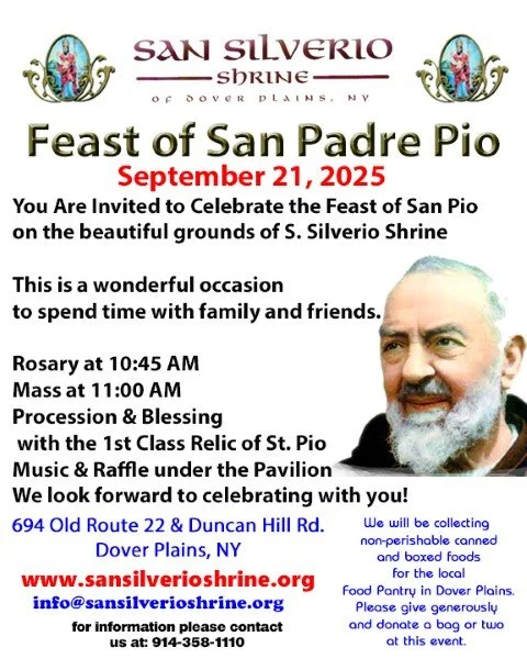 その他 Celebration of Padre Pio [DVD] [Import] Amazon.co.jp: Celebration of Padre Pio [DVD] : DVD